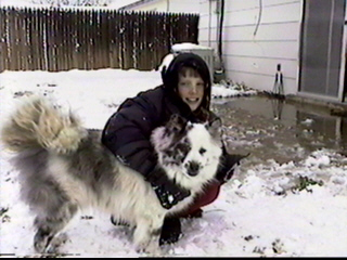 mikedog