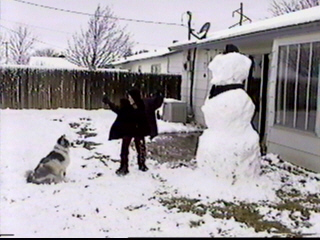 mikesnowdog