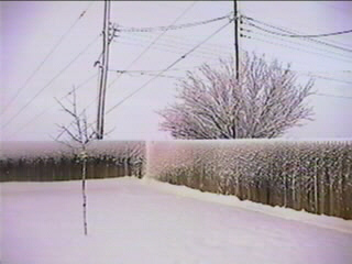 snowfence