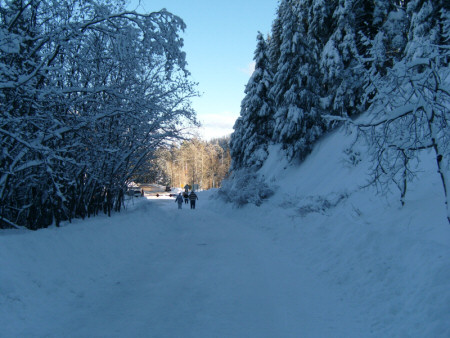 Family Snow