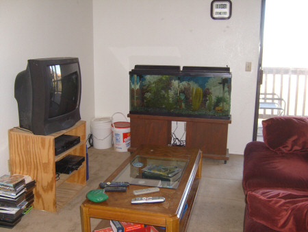 Living Room North