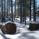 SnowStump
