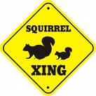 Squirrel Crossing