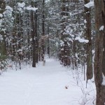 Upper Lower Michigan Early Snow November 2008