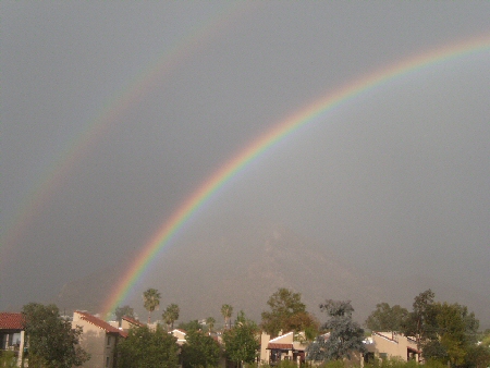 God Promised!