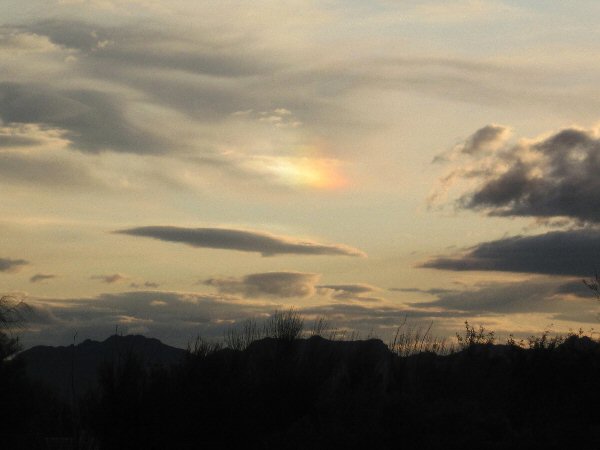 113009SunDog600 Oh Doggie!