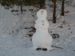 121307Snowman250 2007 Snowman waits for rebirth