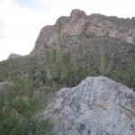 122909AMHikePuschRidge Pusch Ridge
