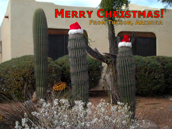 MerryChristmasFromTucson600 MerryChristmasFromTucson600
