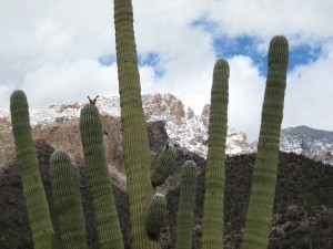 Finger Rock and Saguaro Finger Rock and Saguaro