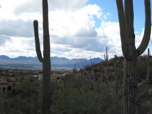 Looking toward the Tucson Mountains Looking toward the Tucson Mountains